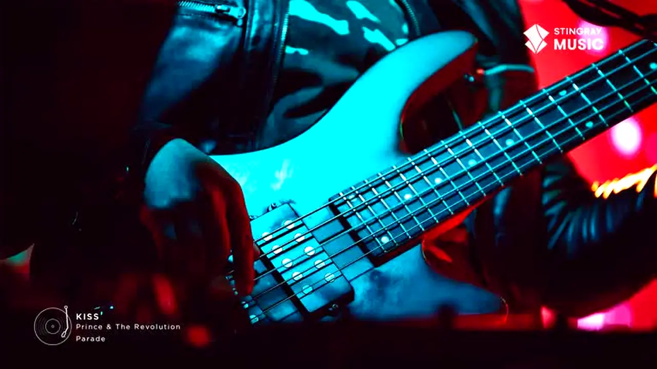 Stingray Greatest Hits live