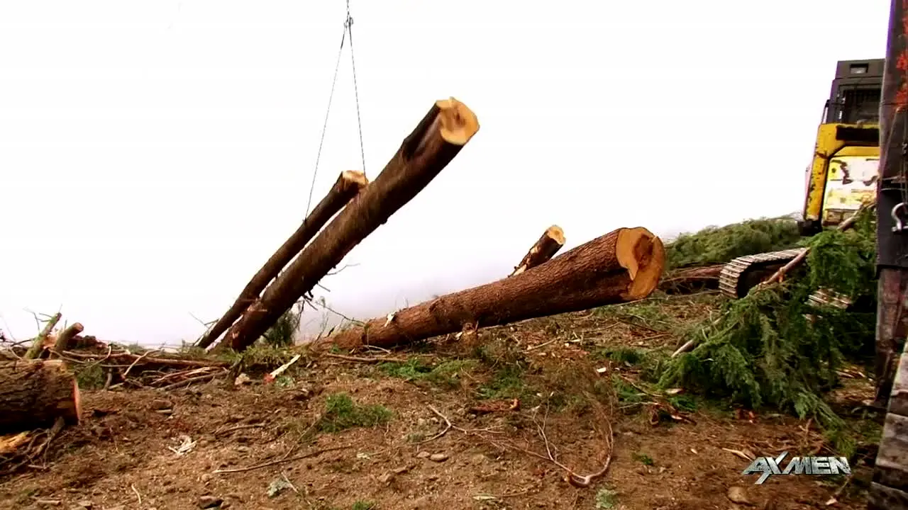 Ax Men live