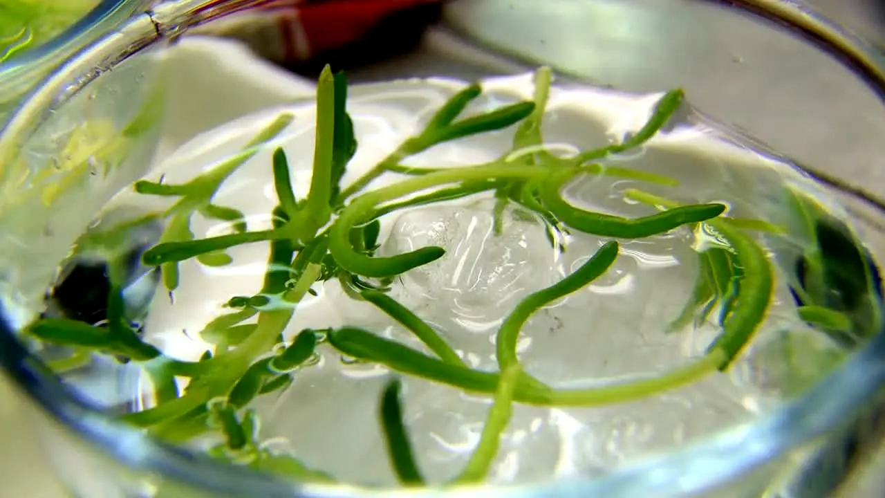 Great British Menu — прямой эфир