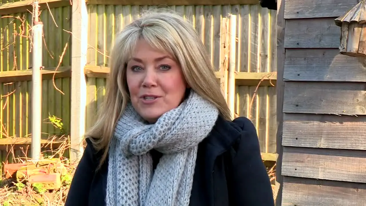 Homes Under the Hammer na żywo