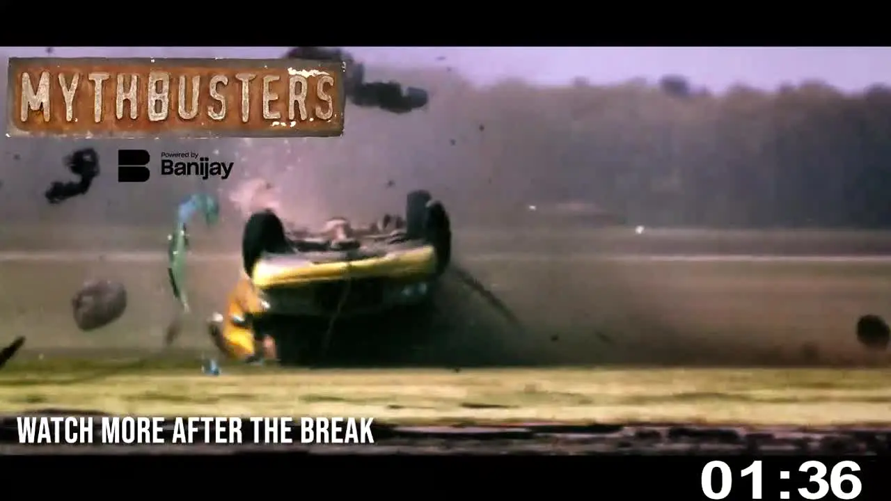 Mythbusters live