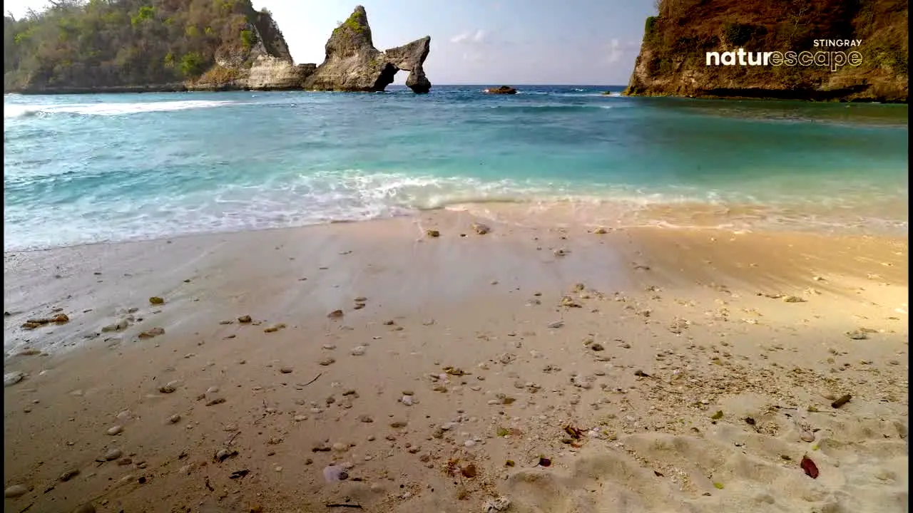 Stingray Naturescape ao vivo