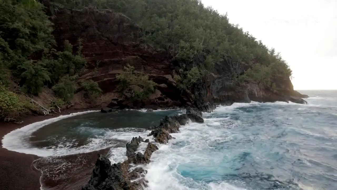 Stingray Naturescape en direct