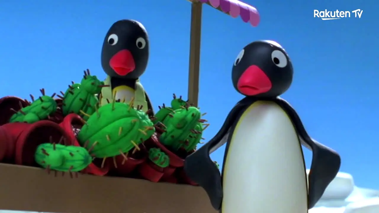 Pingu live