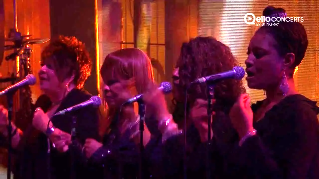 Qello Concerts by Stingray live