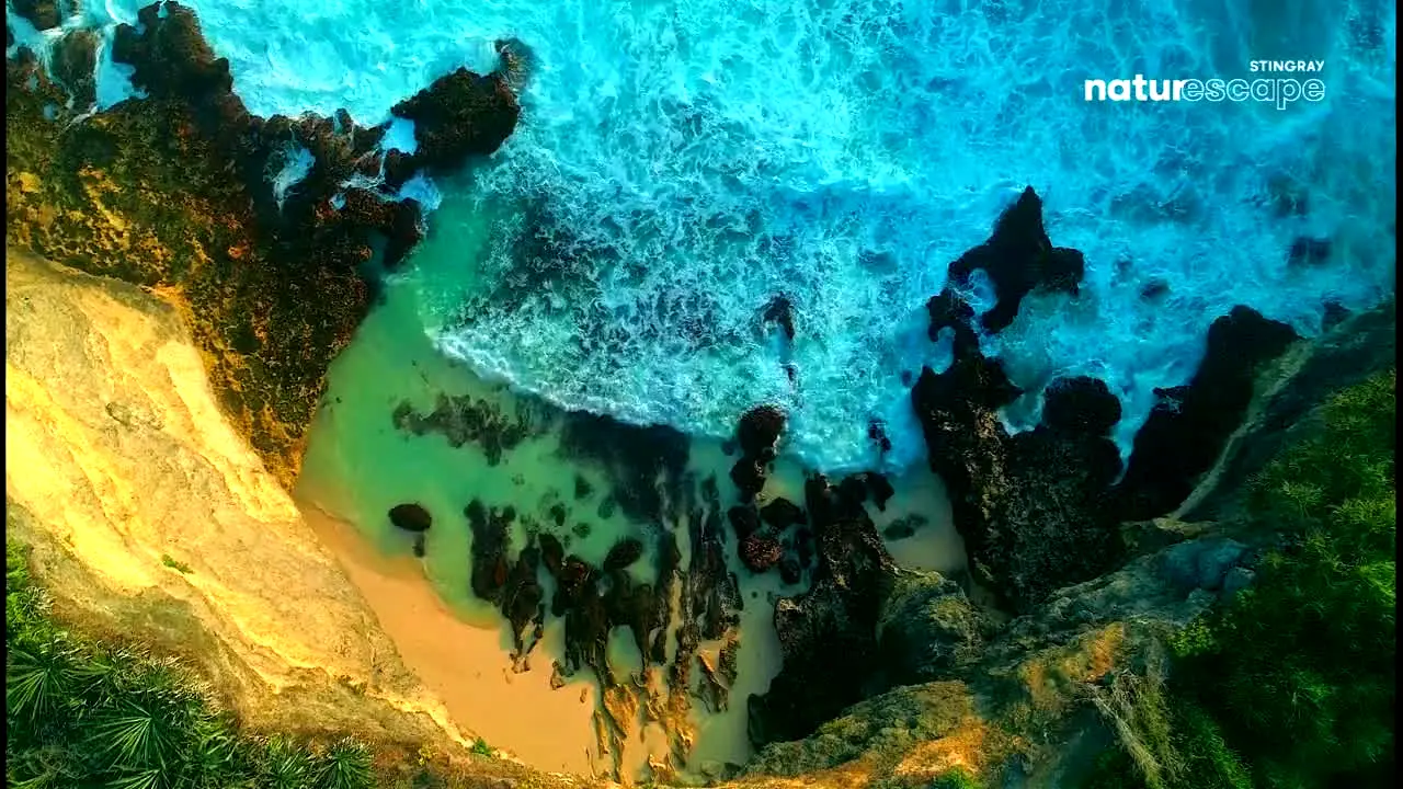 Stingray Naturescape in diretta