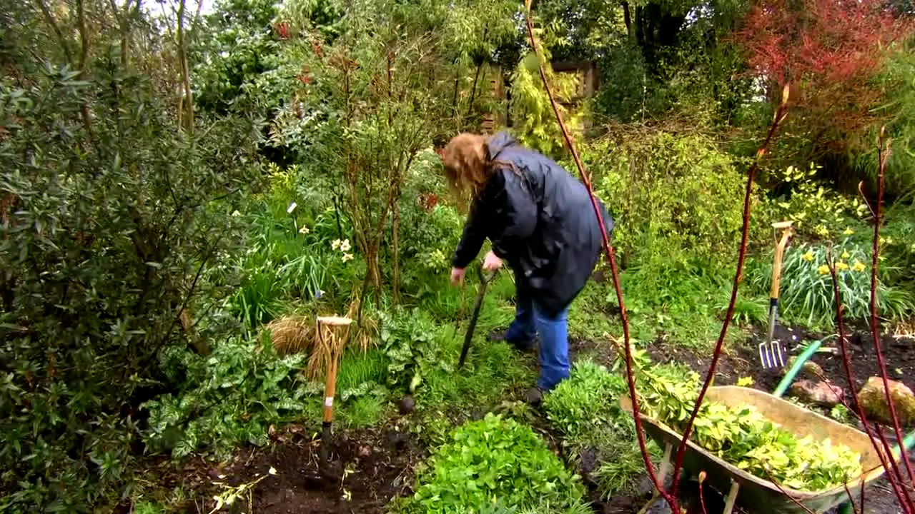 Garden Rescue en vivo