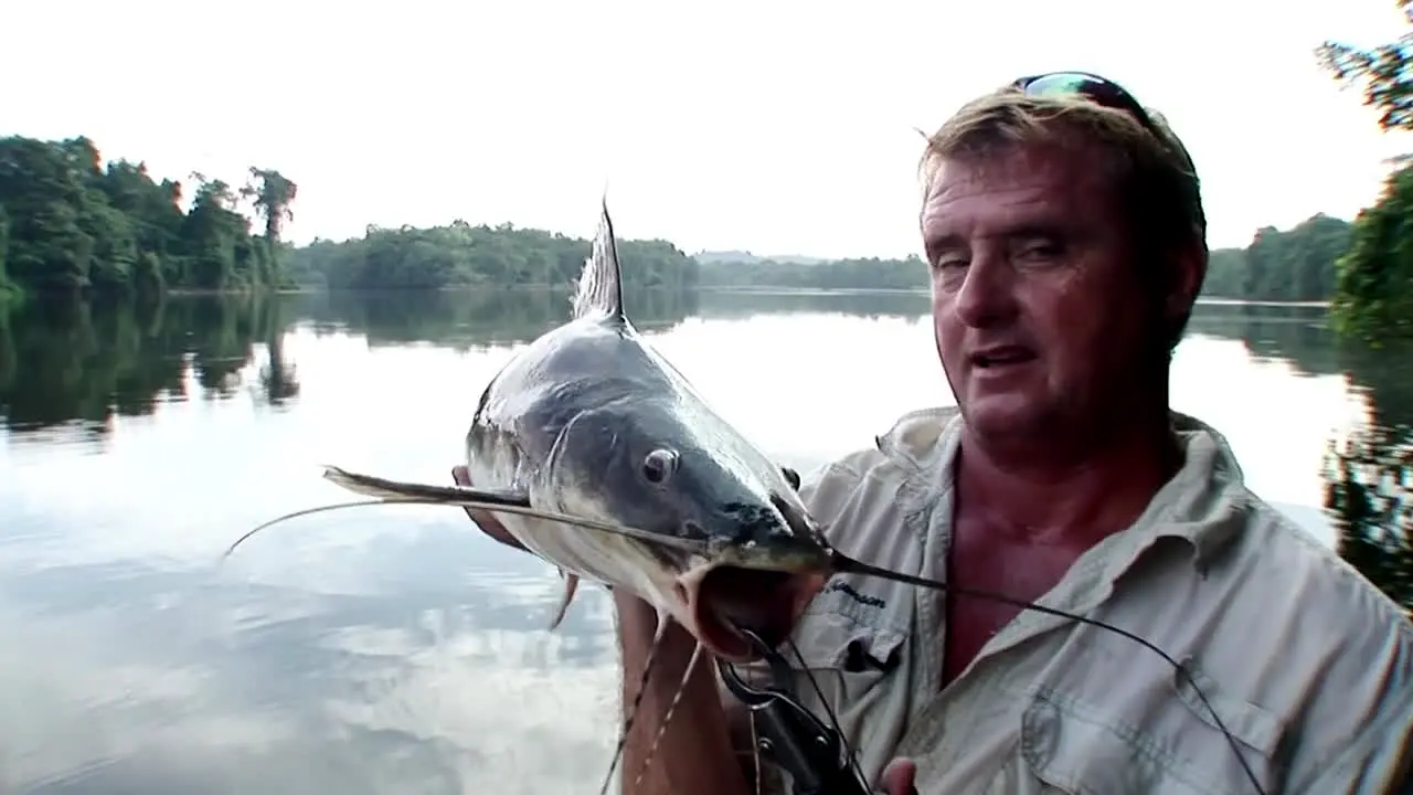 Gone Fishing live