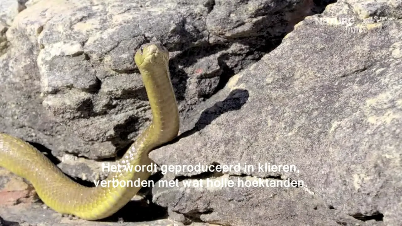 Nature Time live