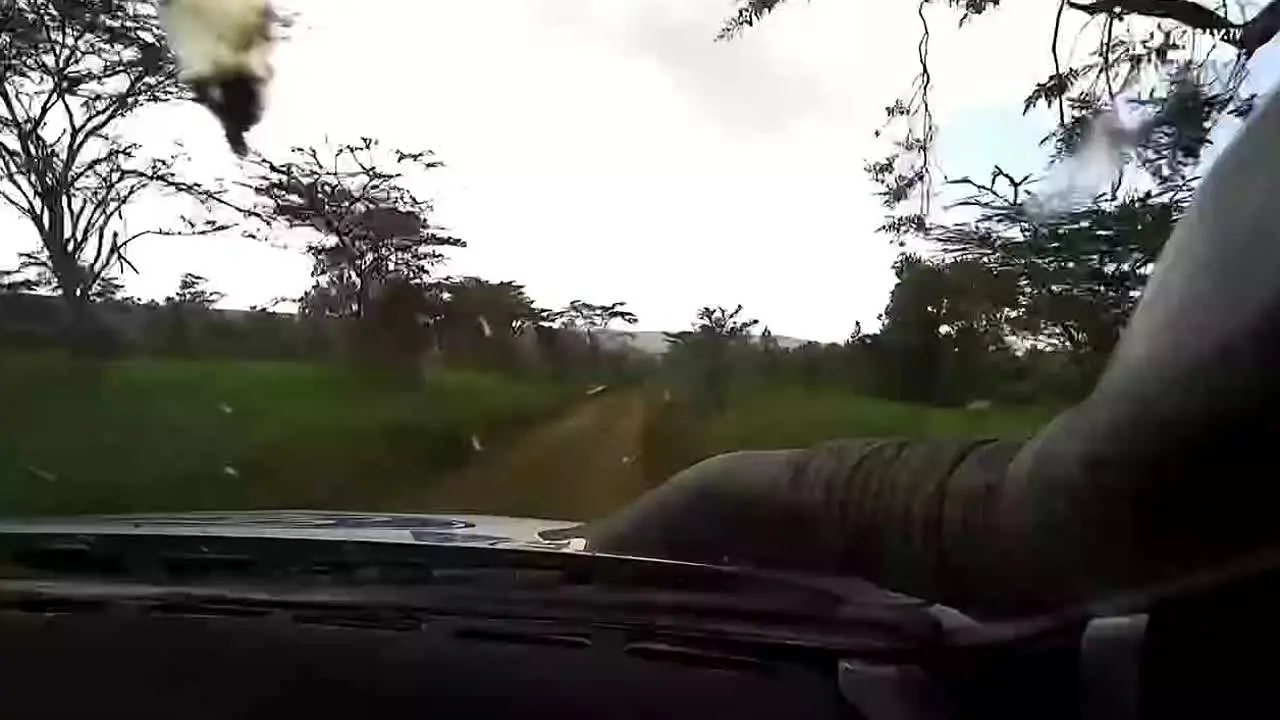 Rally.TV FAST+ live
