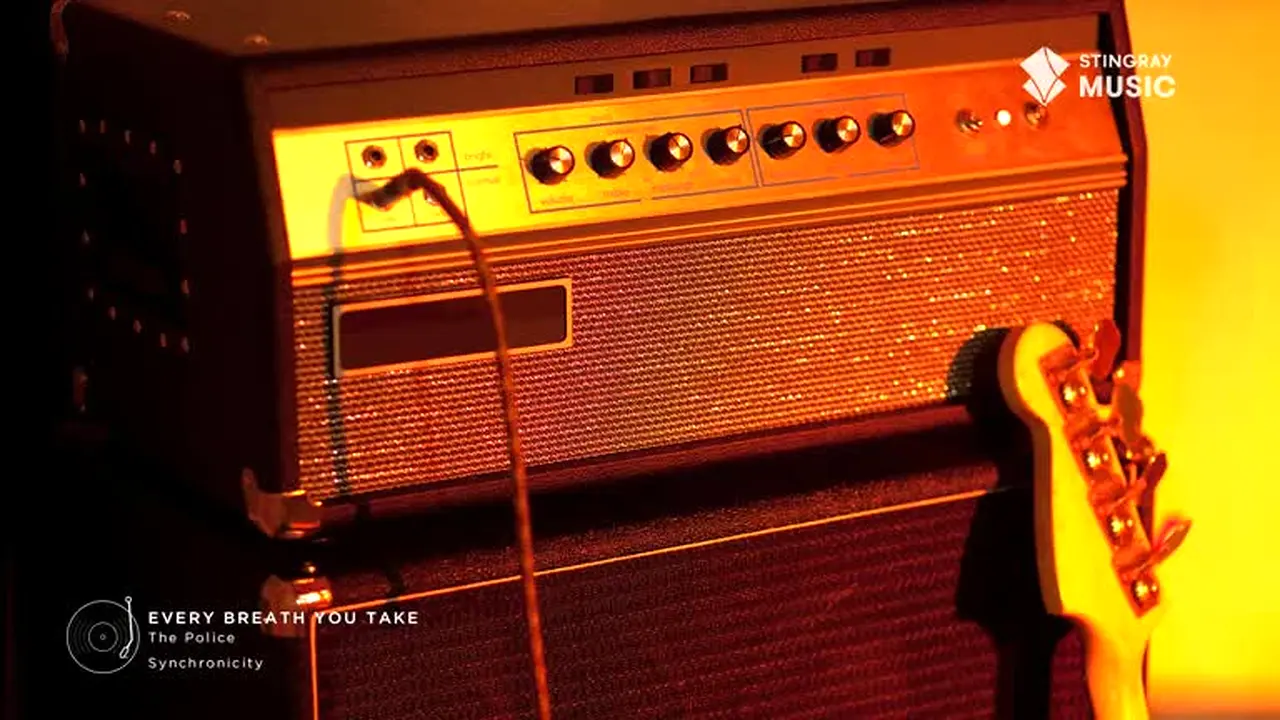 Stingray Greatest Hits live