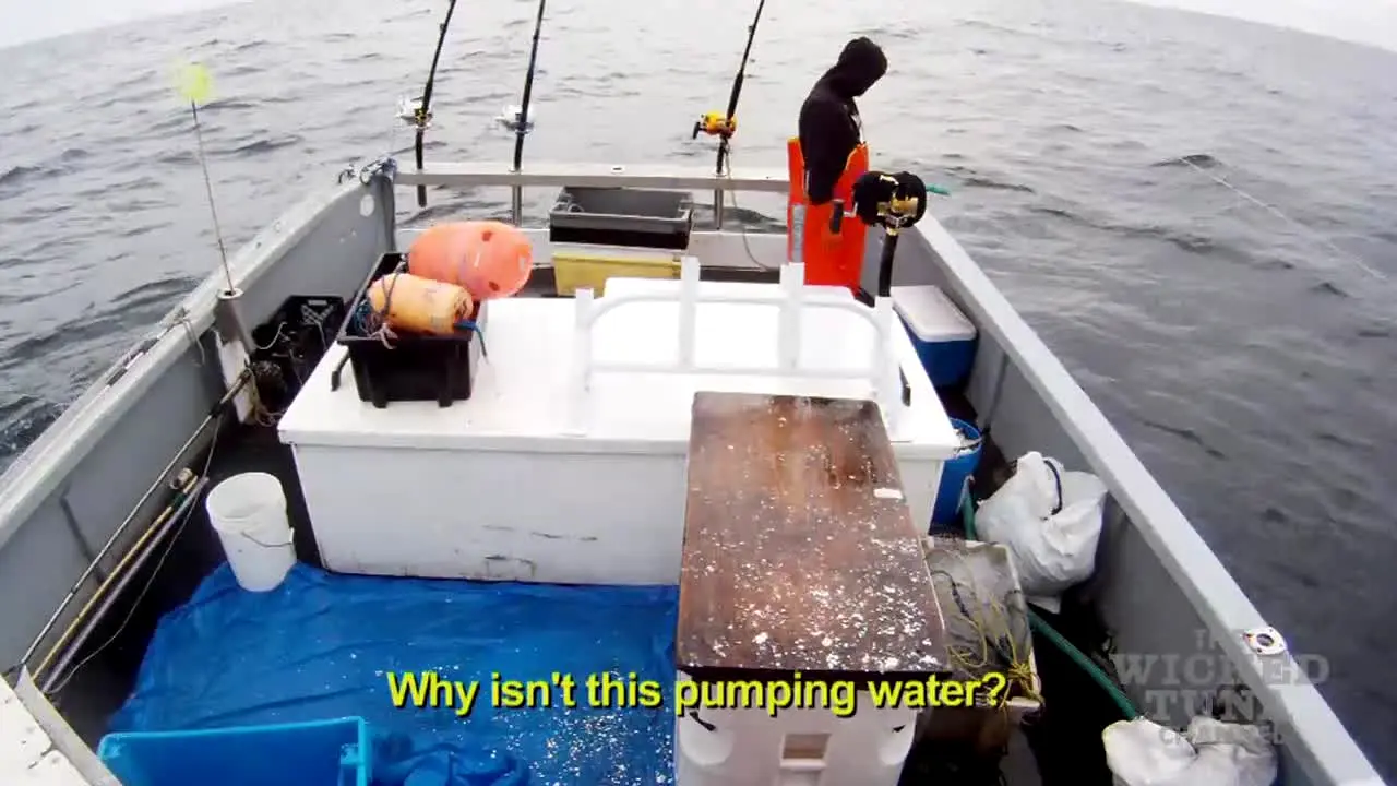 Wicked Tuna na żywo