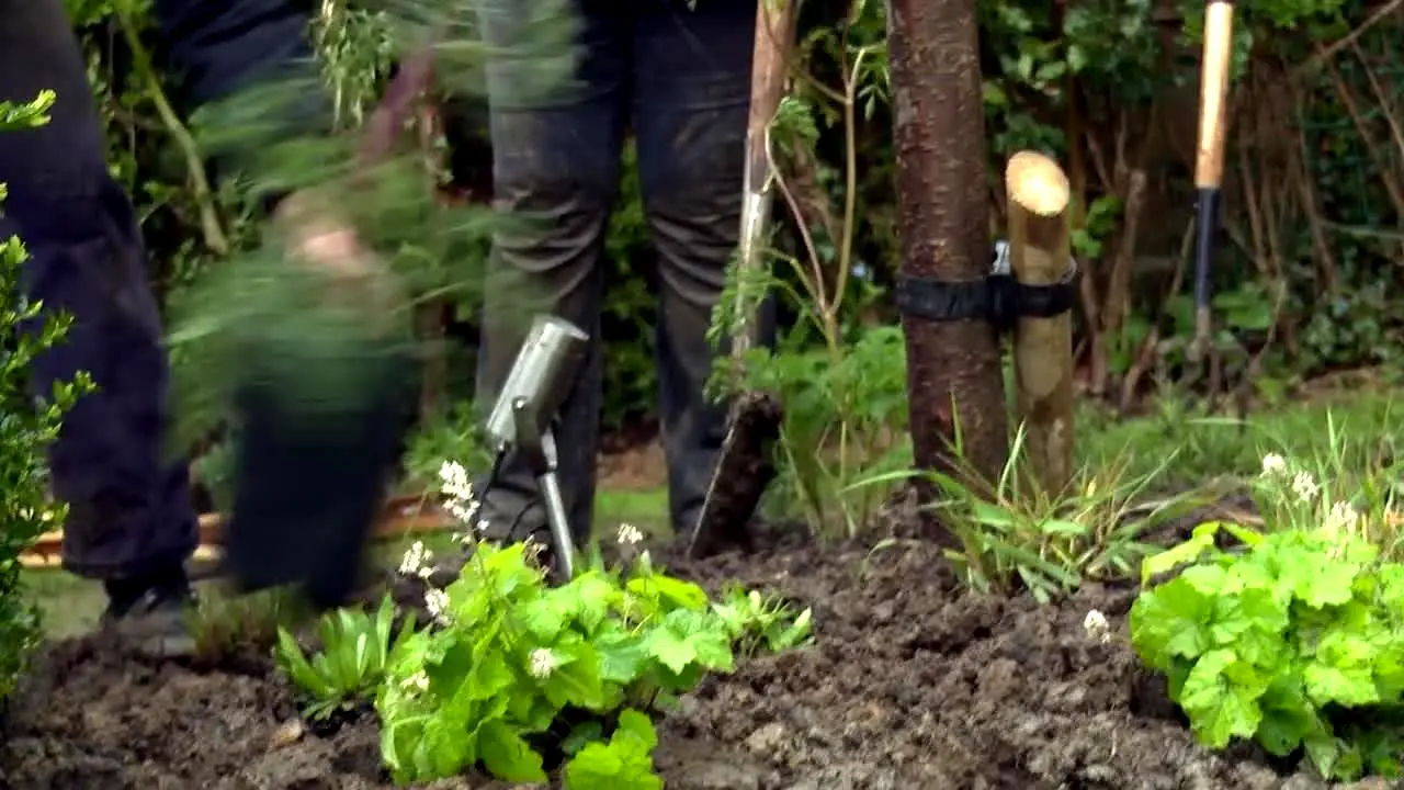 Garden Rescue live