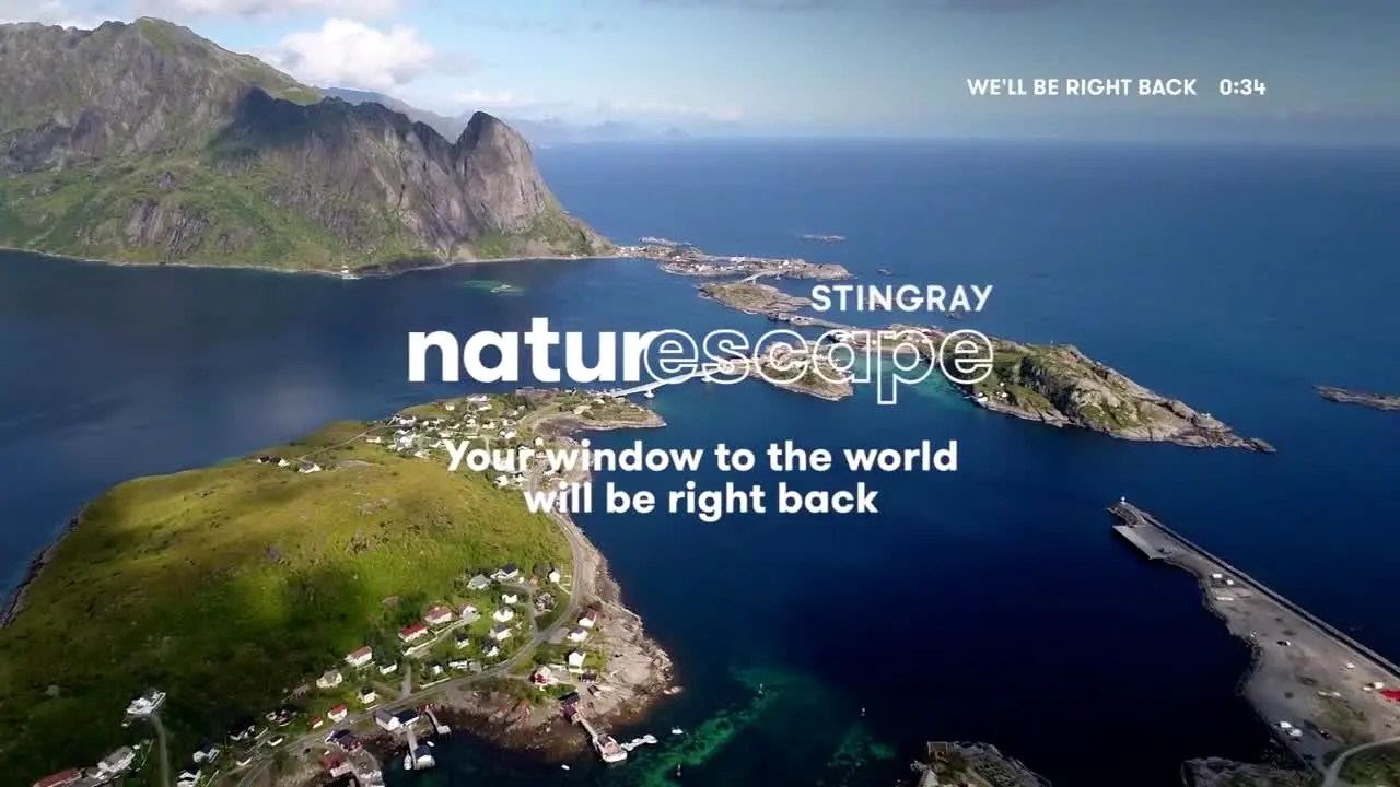 Stingray Naturescape na żywo