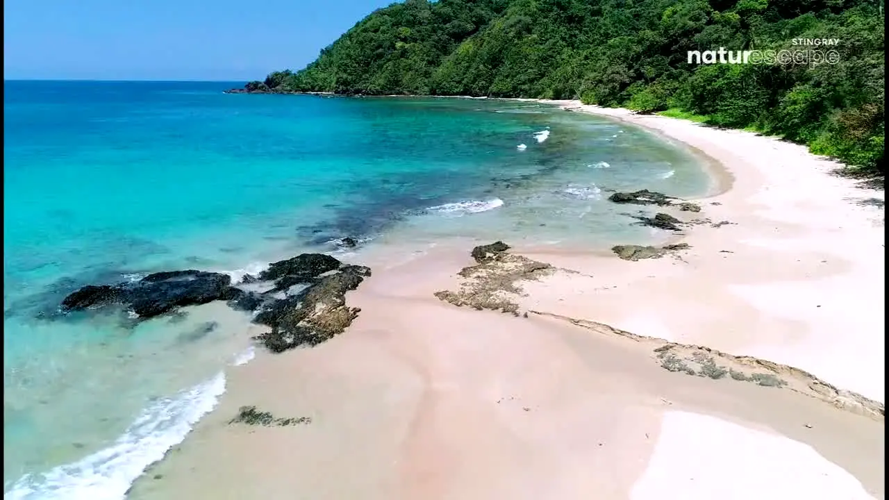 Stingray Naturescape ao vivo