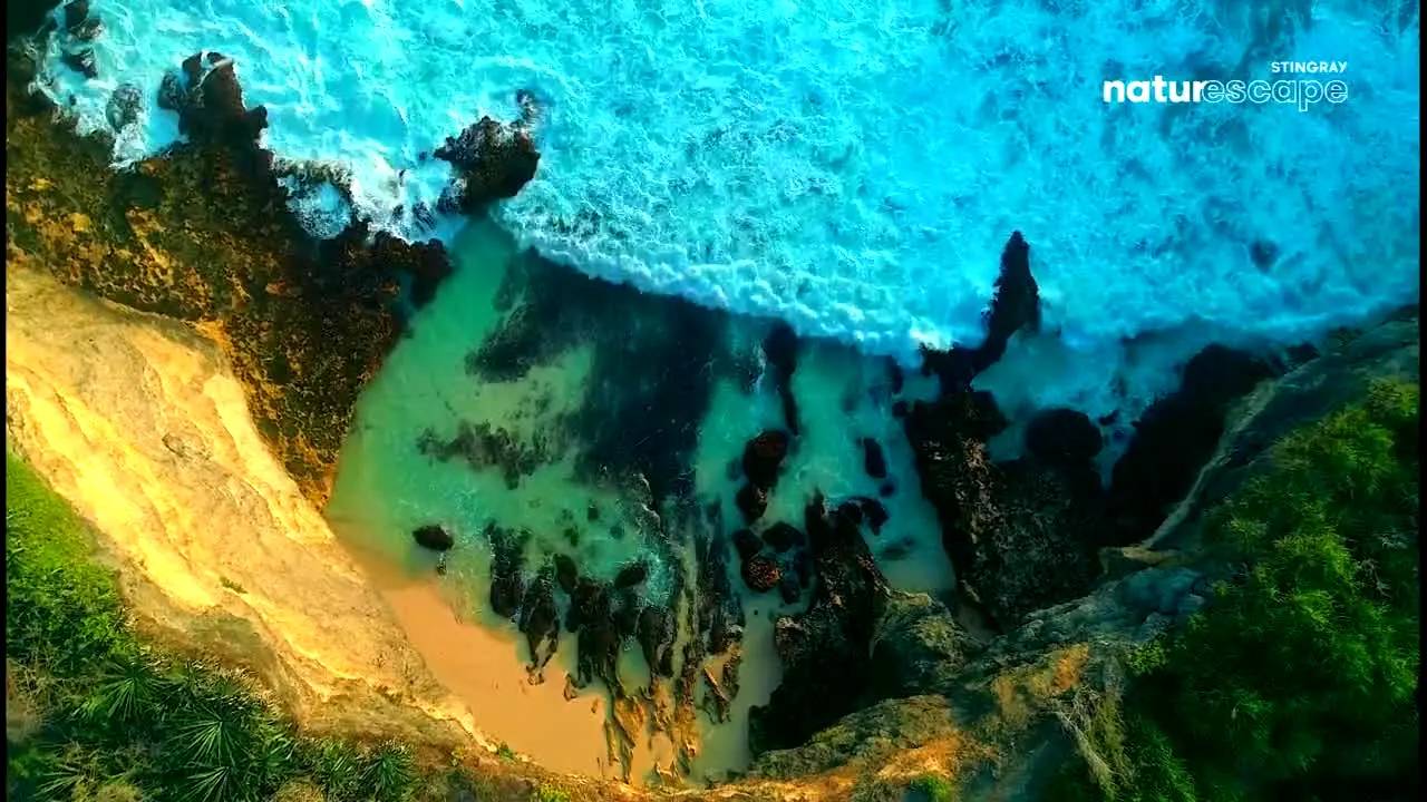 Stingray Naturescape en direct