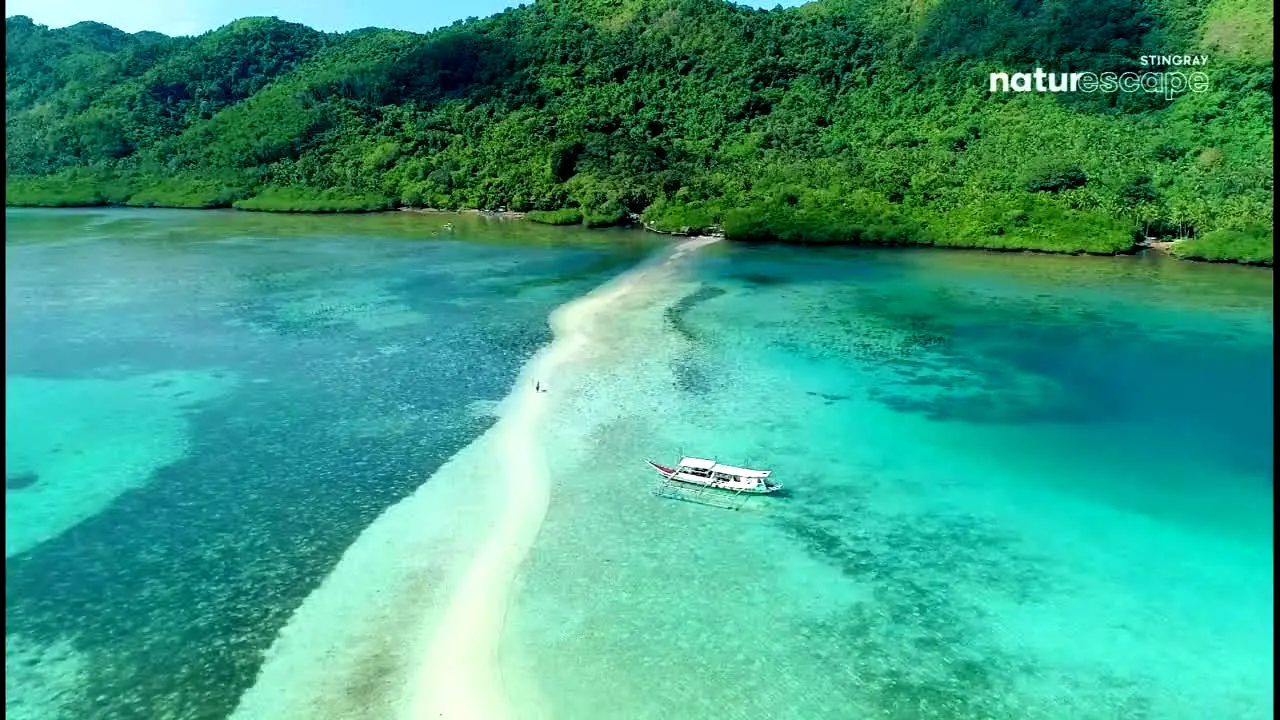 Stingray Naturescape ao vivo