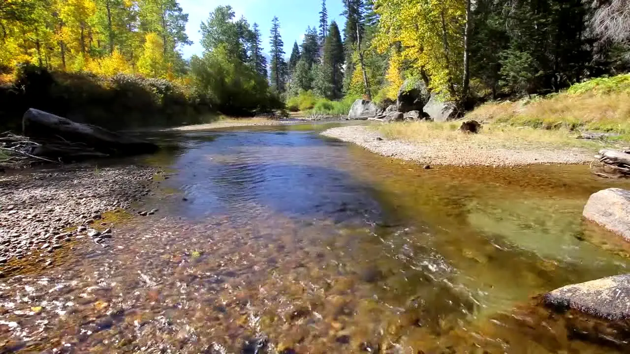 Stingray Naturescape in diretta