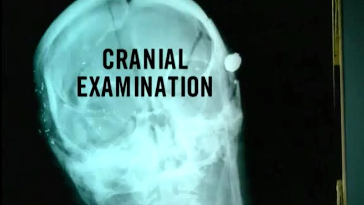 Dr. G: Medical Examiner live