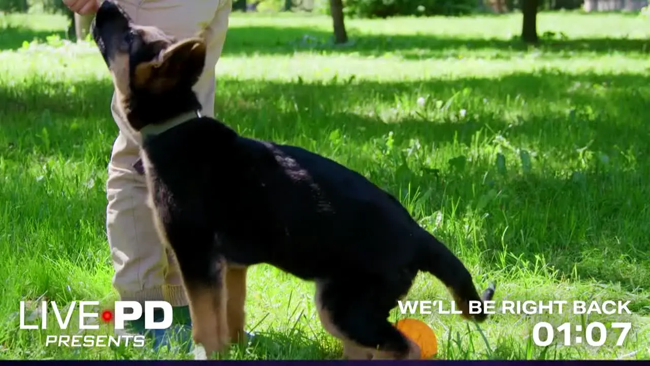 Live PD Presents live