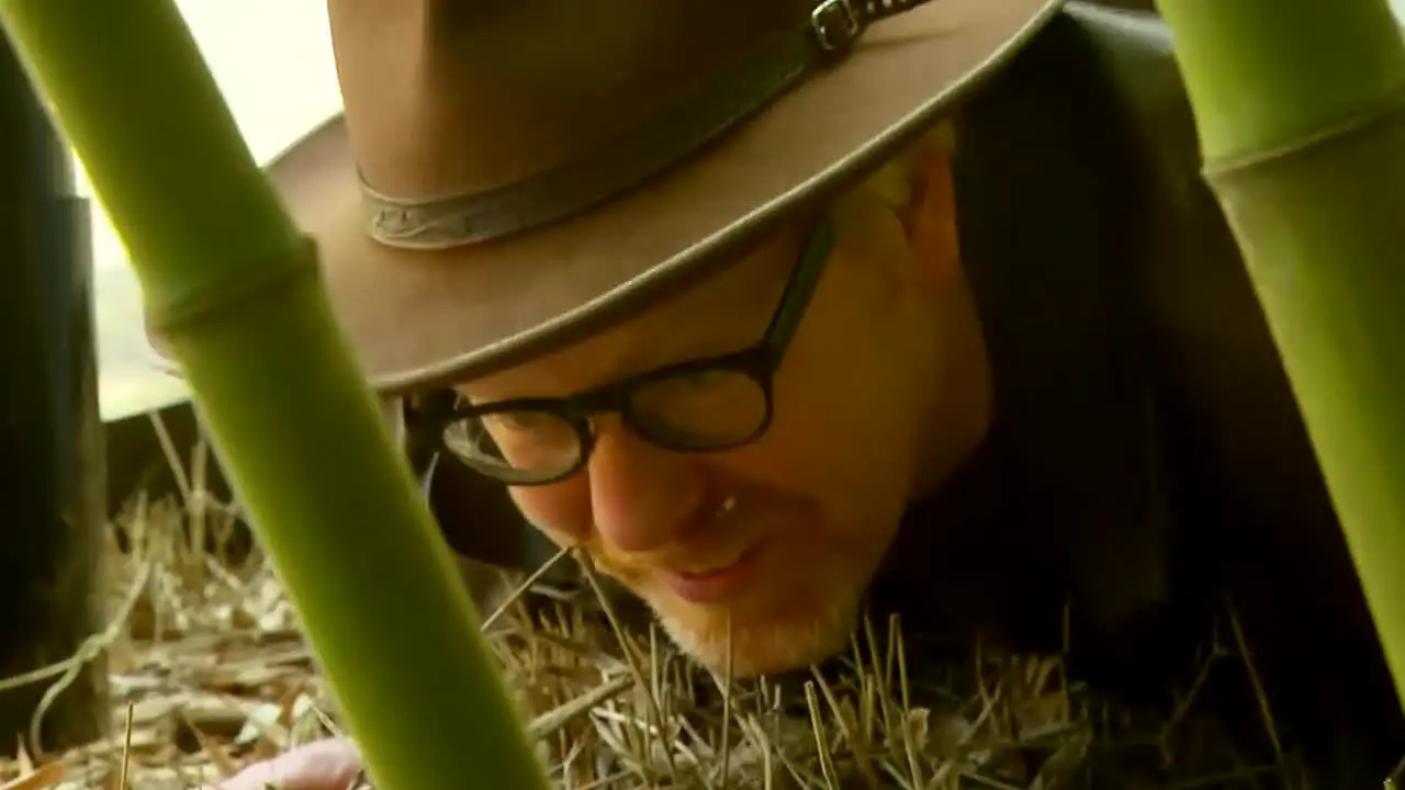 Mythbusters na żywo