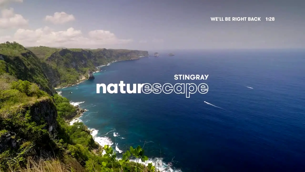 Stingray Naturescape live