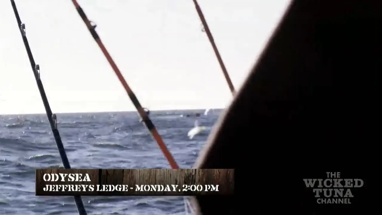 Wicked Tuna live
