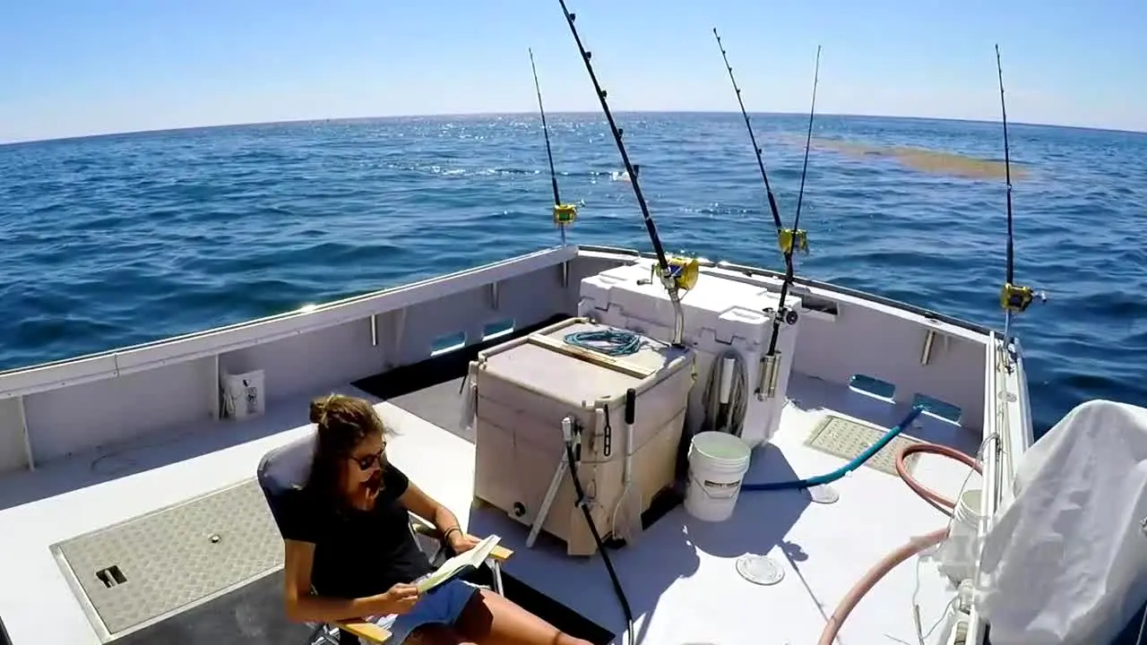 Wicked Tuna — прямой эфир