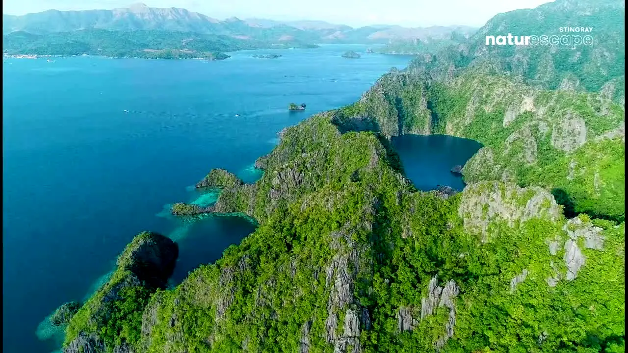 Stingray Naturescape in diretta