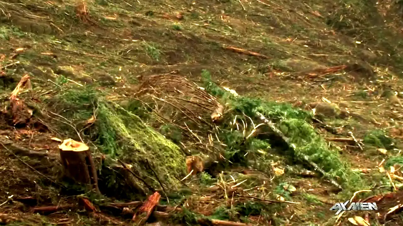 Ax Men in diretta