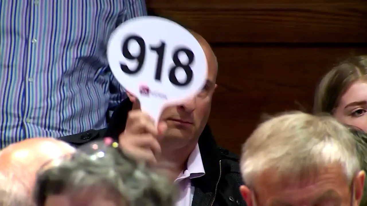 Homes Under the Hammer live