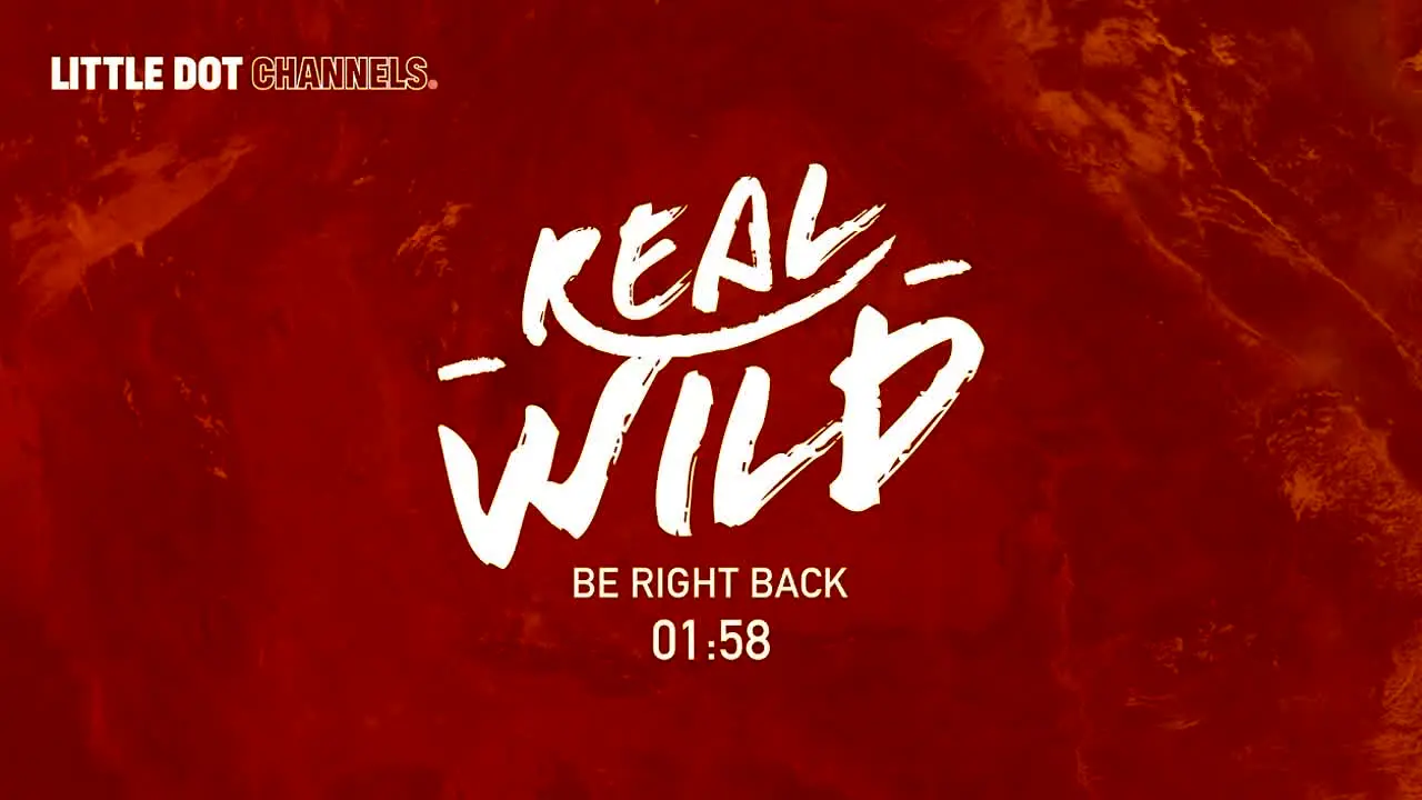 Real Wild in diretta