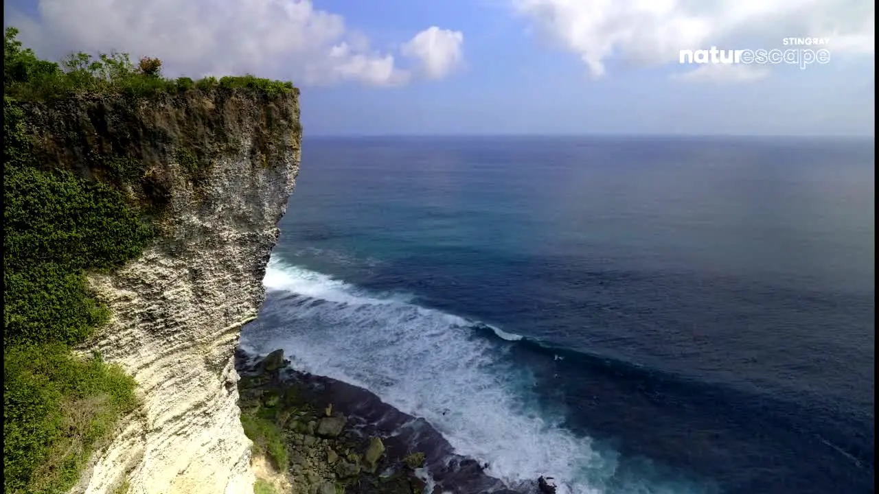 Stingray Naturescape ao vivo