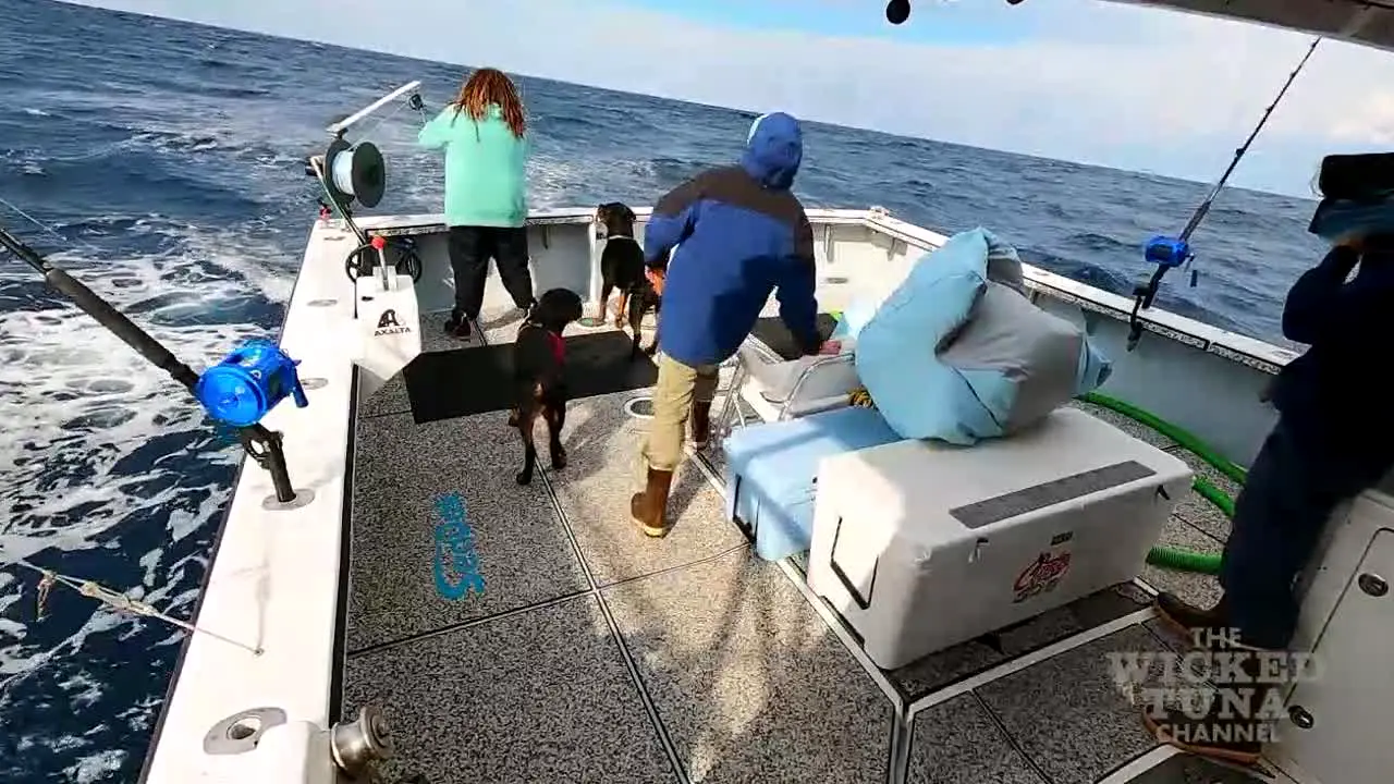 Wicked Tuna in diretta