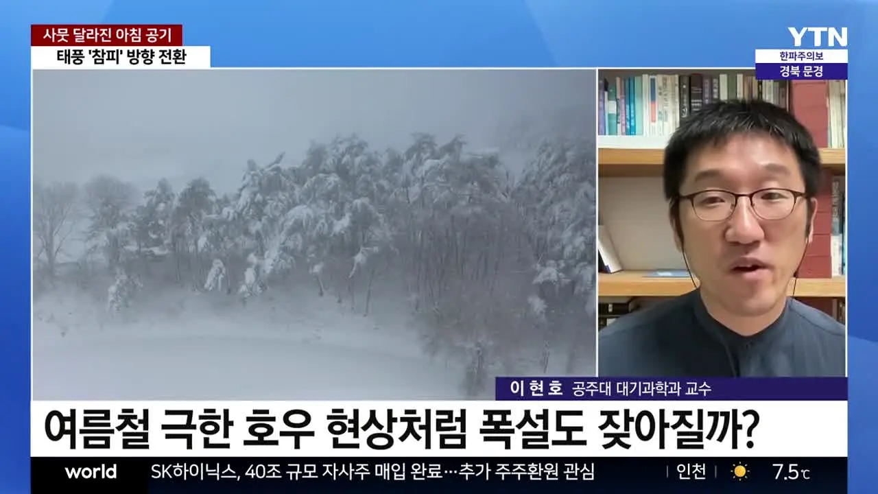 YTN en vivo