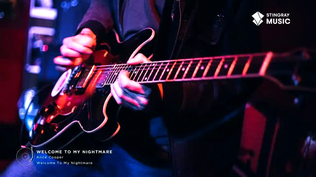 Stingray Classic Rock live
