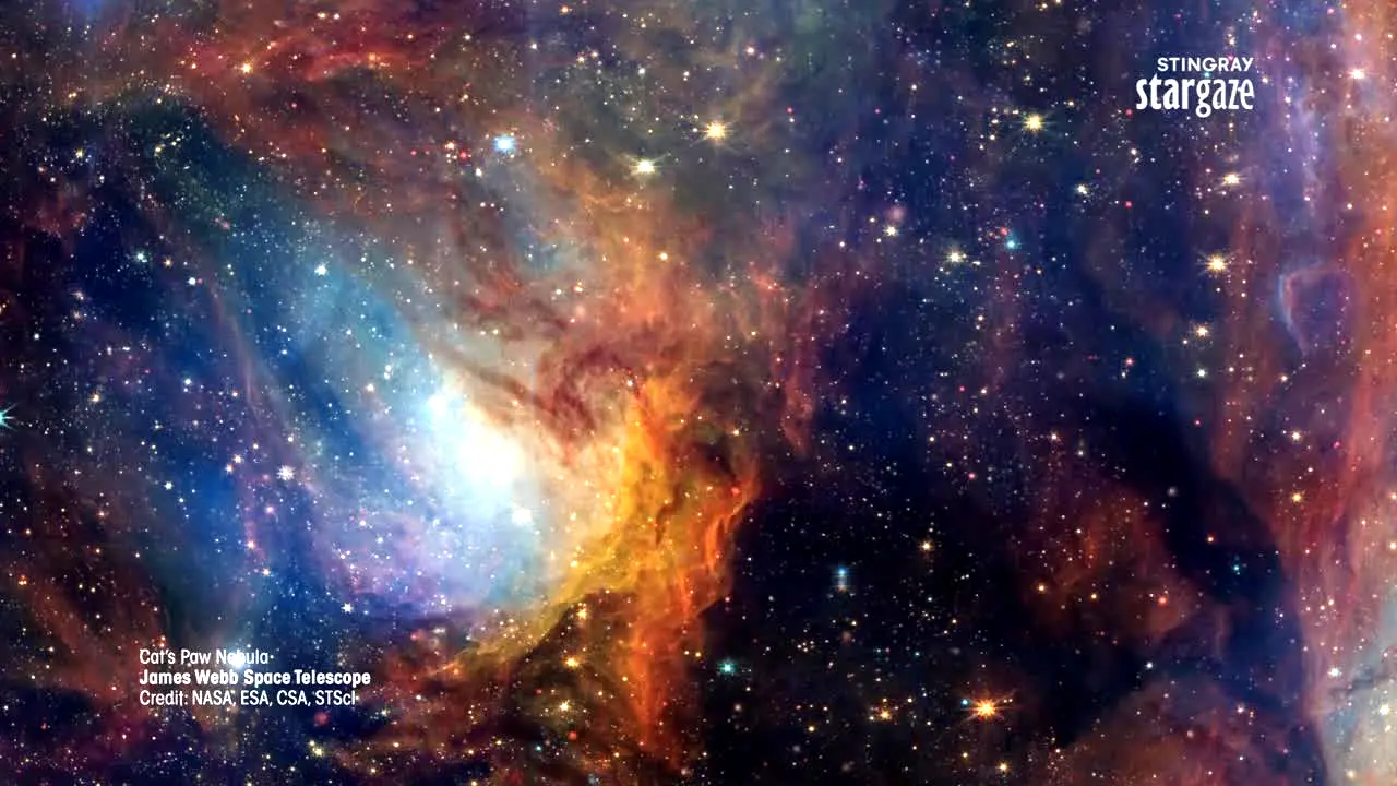 Stingray Stargaze live