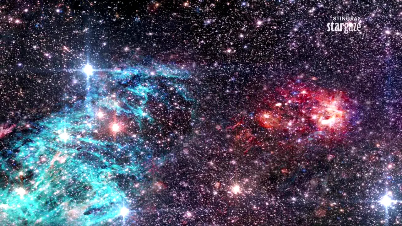 Stingray Stargaze live