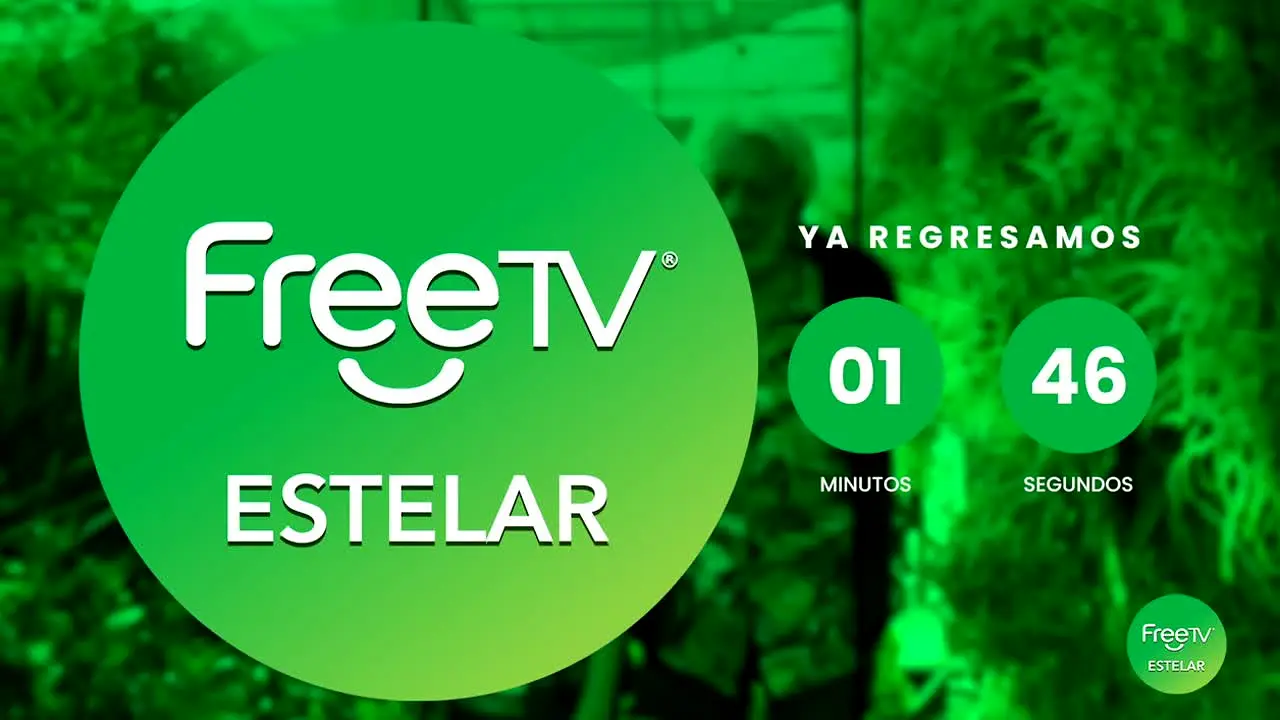 FreeTV Estelar live