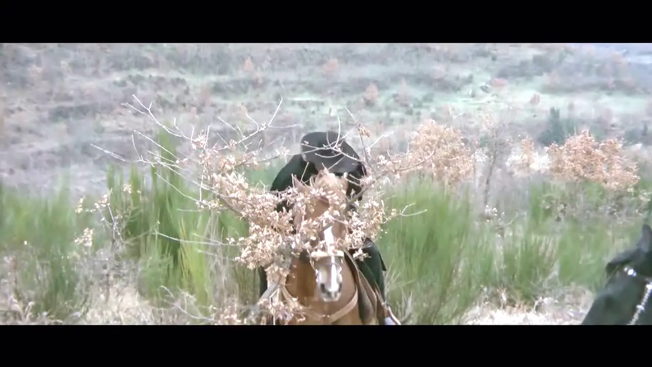 Grjngo - Westernfilme live