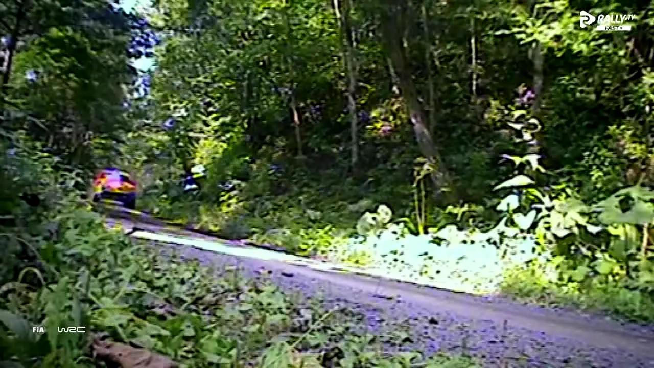 Rally TV live