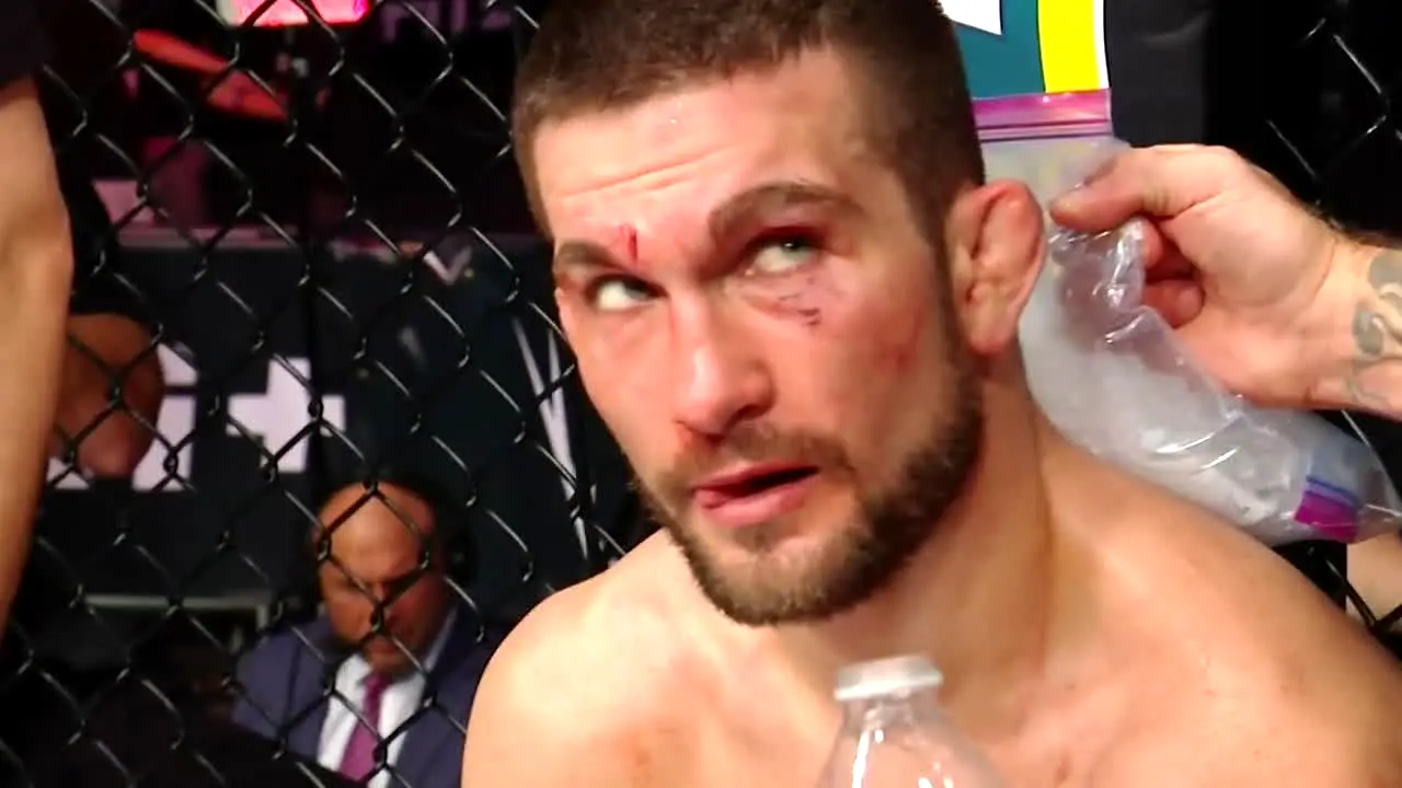 MMA TV en vivo