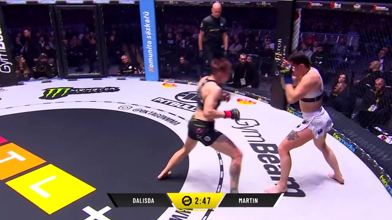 MMA TV live