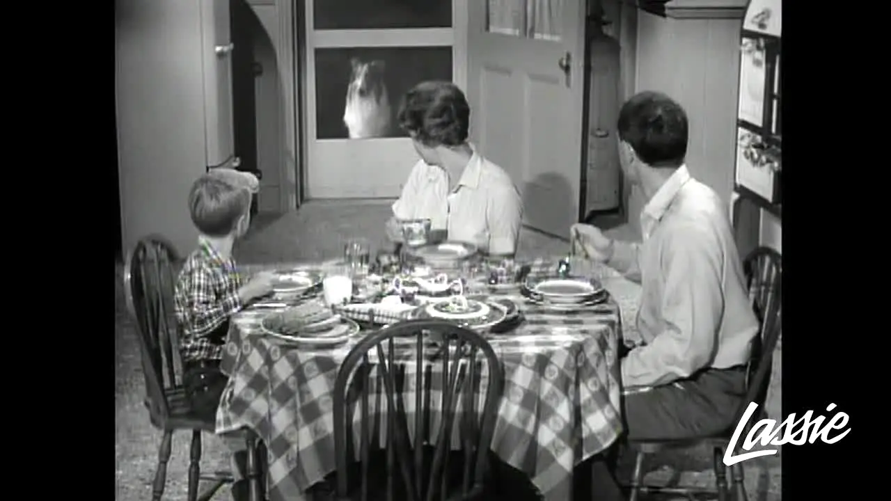 Lassie live