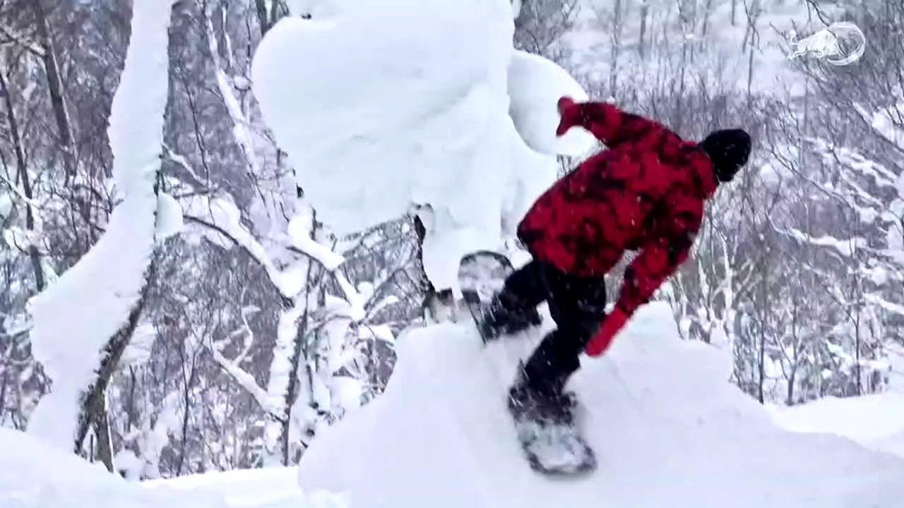 Red Bull TV live