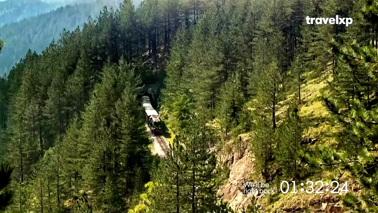 Travelxp live