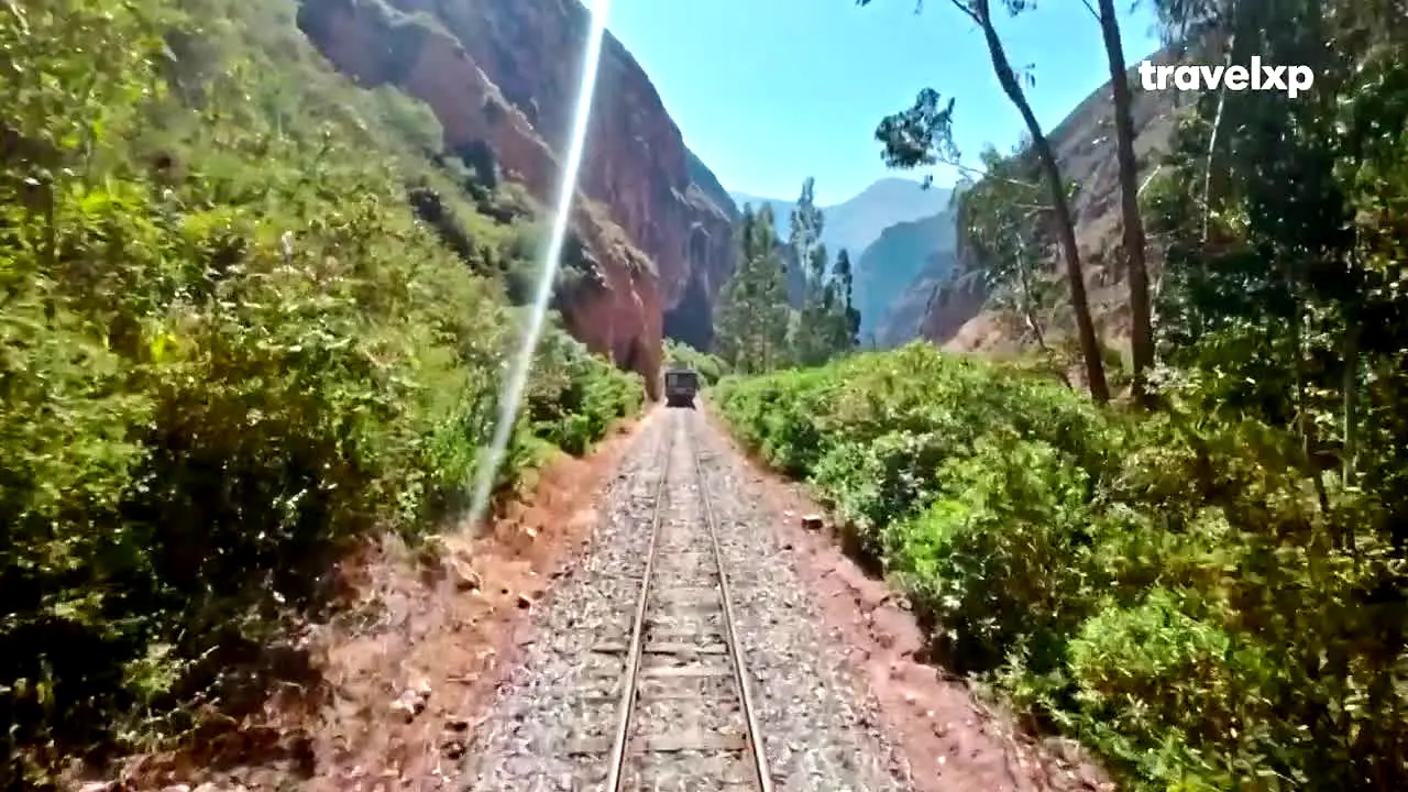 Travelxp en vivo