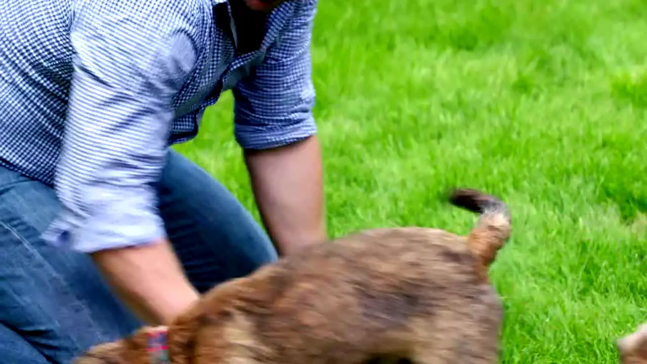 Bondi Vet live