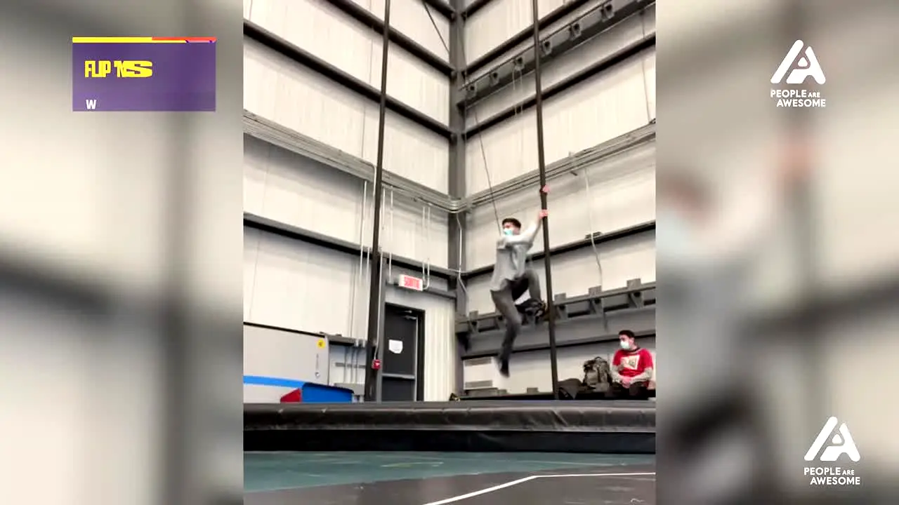 People Are Awesome live