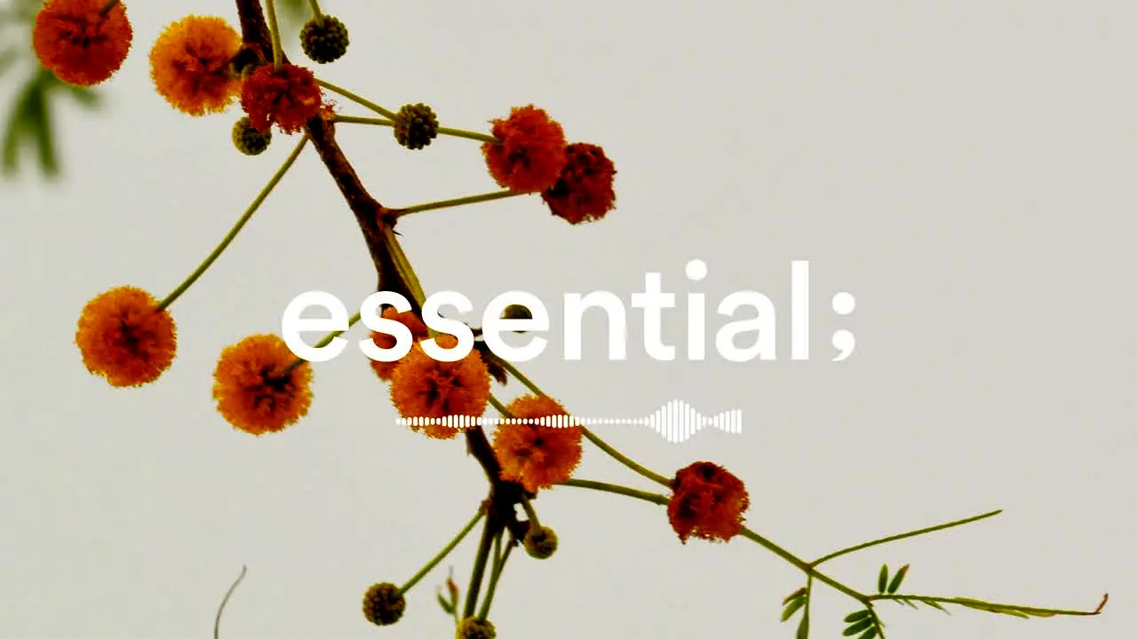 essential; — прямой эфир